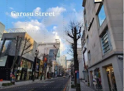 Sinsa Still - 5 Minutes From Sinsa Station, 8 Minutes From Nonhyeon Station, 5 Minutes From Airport Bus, Luggage Storage, Adult Hospital, Business Trip, Hangang Park, Convenient Transportation Villa Seoul